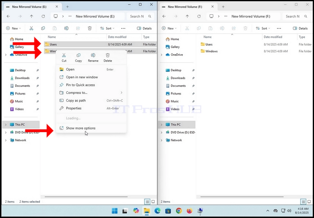 How_to_Test_a_Mirroed_Volume_in_Windows_11_10.webp