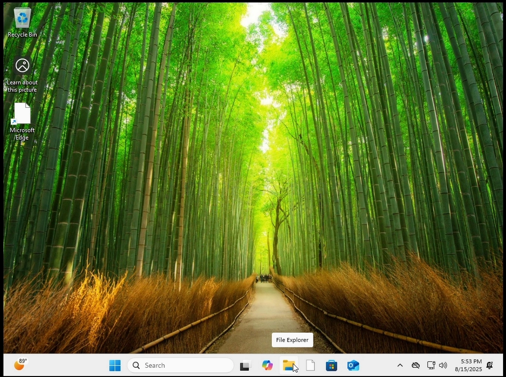 Could_Windows_11_Still_Boot_After_Deleting_programfilesx86_folder15.webp Could_Windows_11_Still_Boot_After_Deleting_programfilesx86_folder15.webp