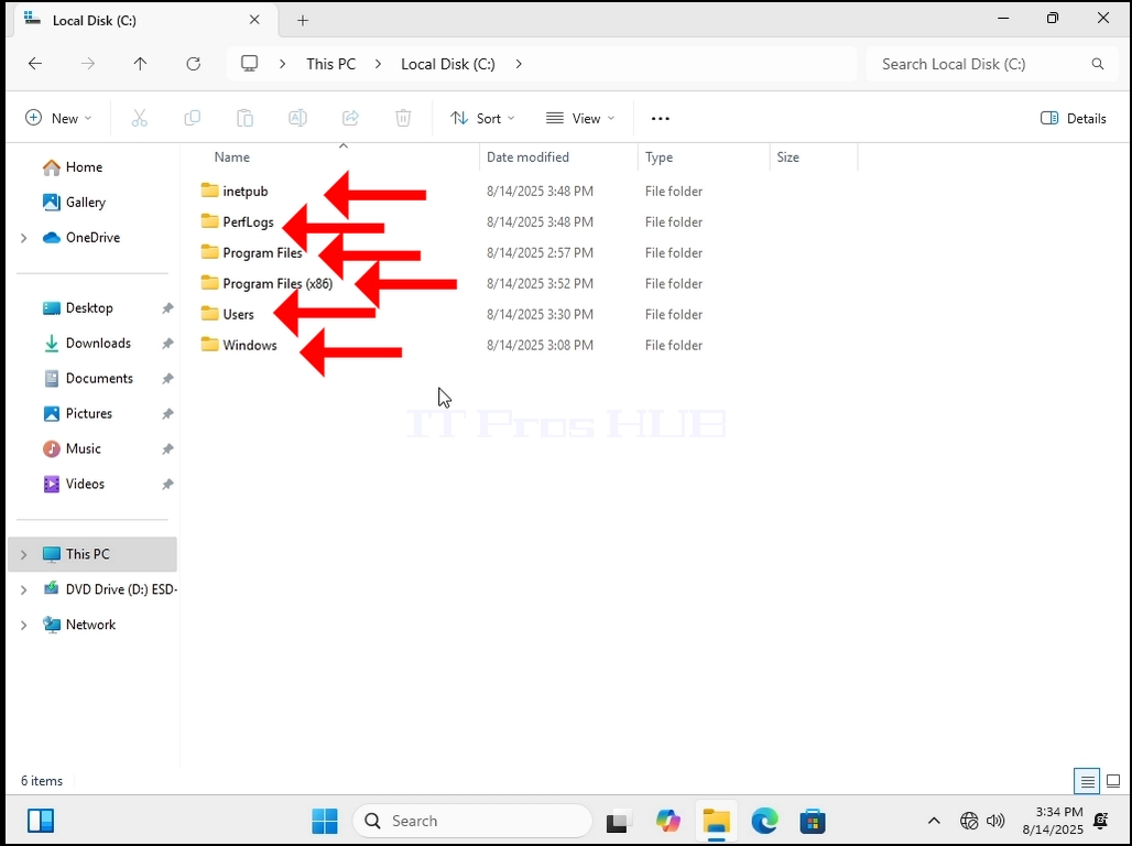 how-to-see-hidden-files-and-folders-in-windows-11-11.webp