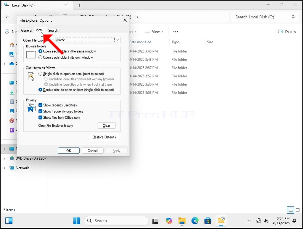how-to-see-hidden-files-and-folders-in-windows-11-16.webp