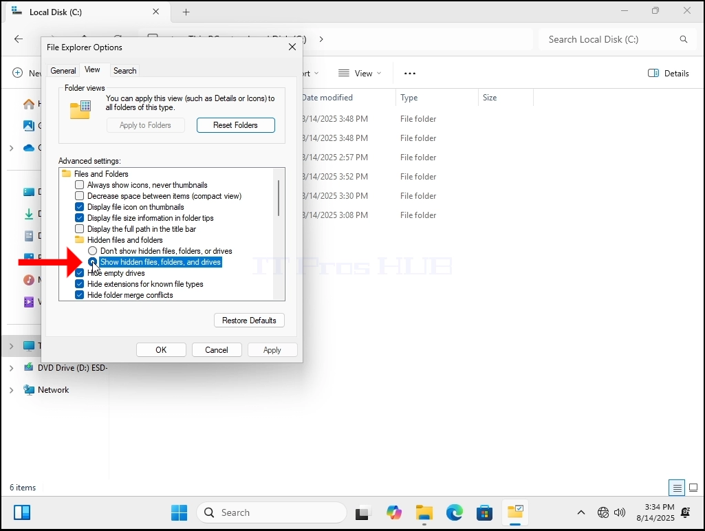 how-to-see-hidden-files-and-folders-in-windows-11-18.webp