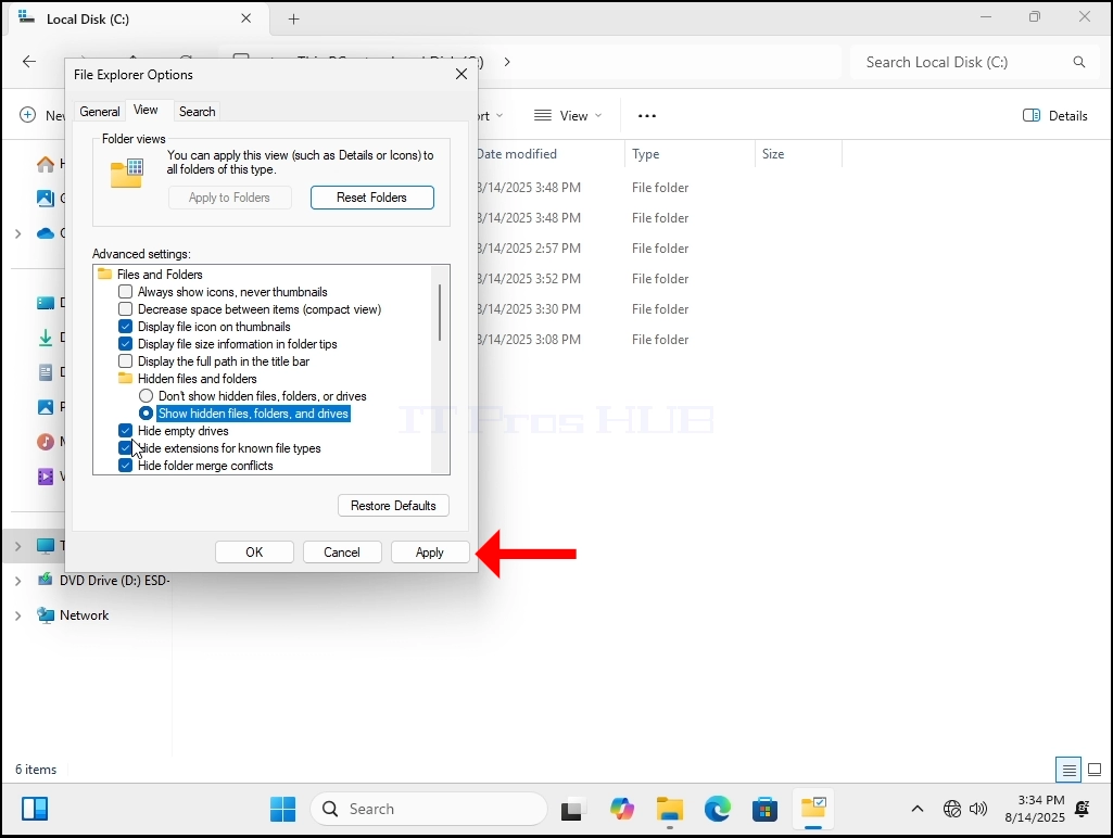 how-to-see-hidden-files-and-folders-in-windows-11-19.webp