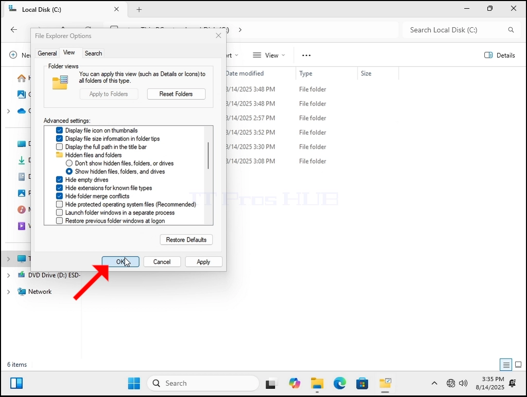 how-to-see-hidden-files-and-folders-in-windows-11-23.webp