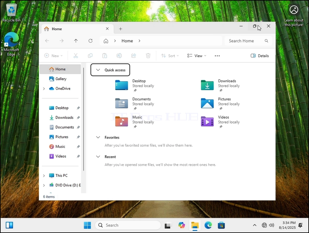 how-to-see-hidden-files-and-folders-in-windows-11-5.webp