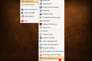 How to Change Resolution in Ubuntu 8.04.3 Desktop Amd64 - Hardy Heron