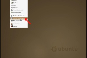 How to Change Resolution in Ubuntu 4.10 Warty Release Install i386 - Warty Warthog